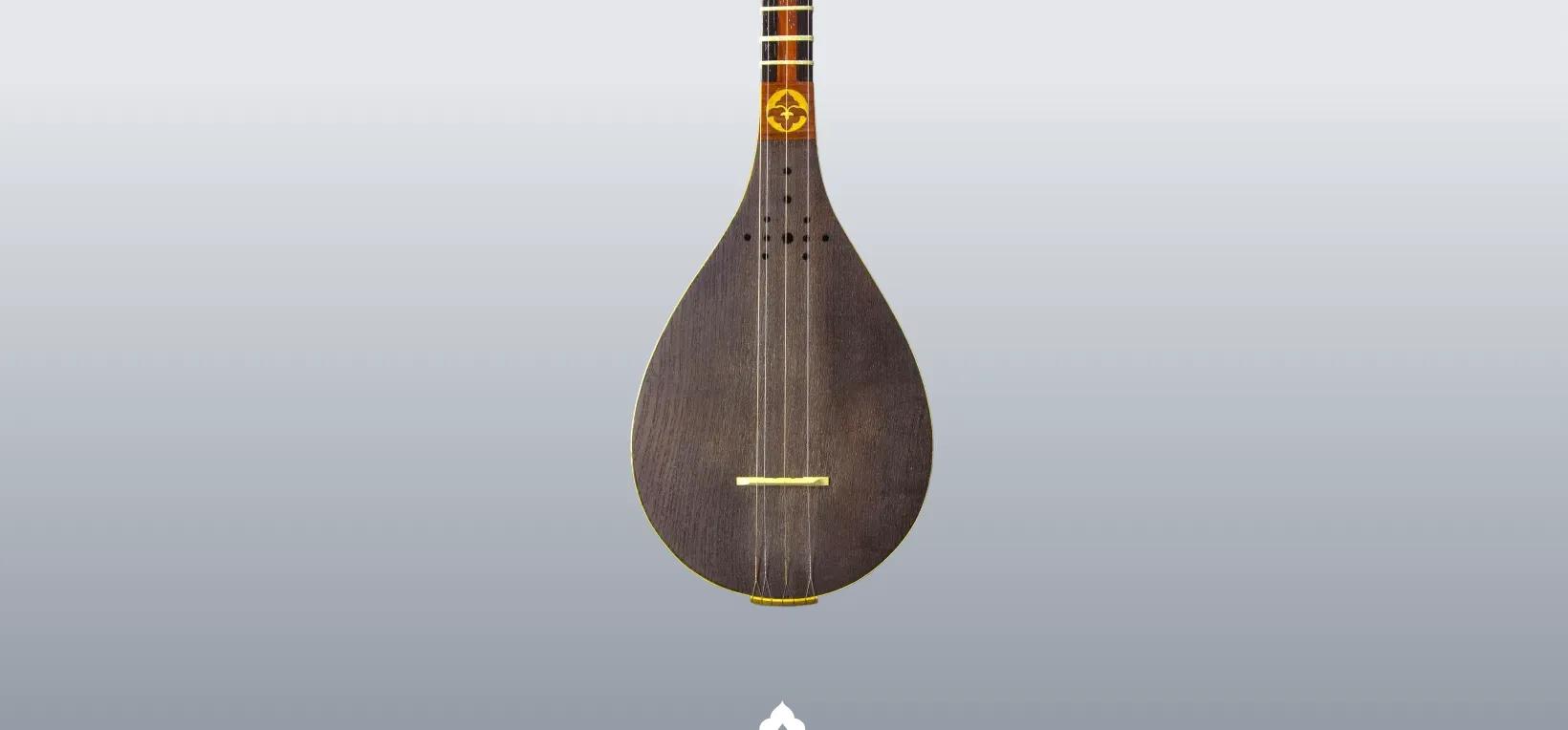 آموزش موسیقی نیما فریدونی پیشرفته